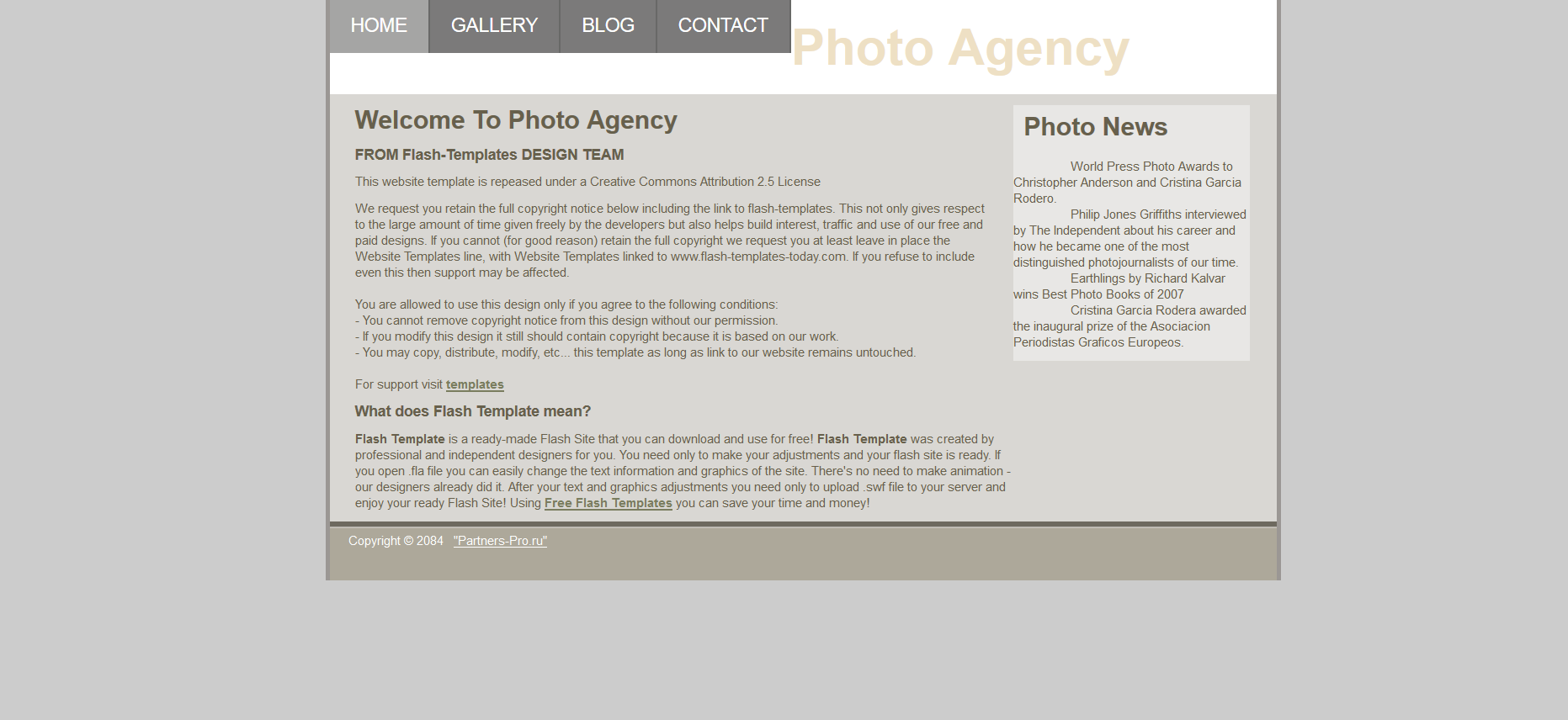 Шаблон сайта Искусство №341