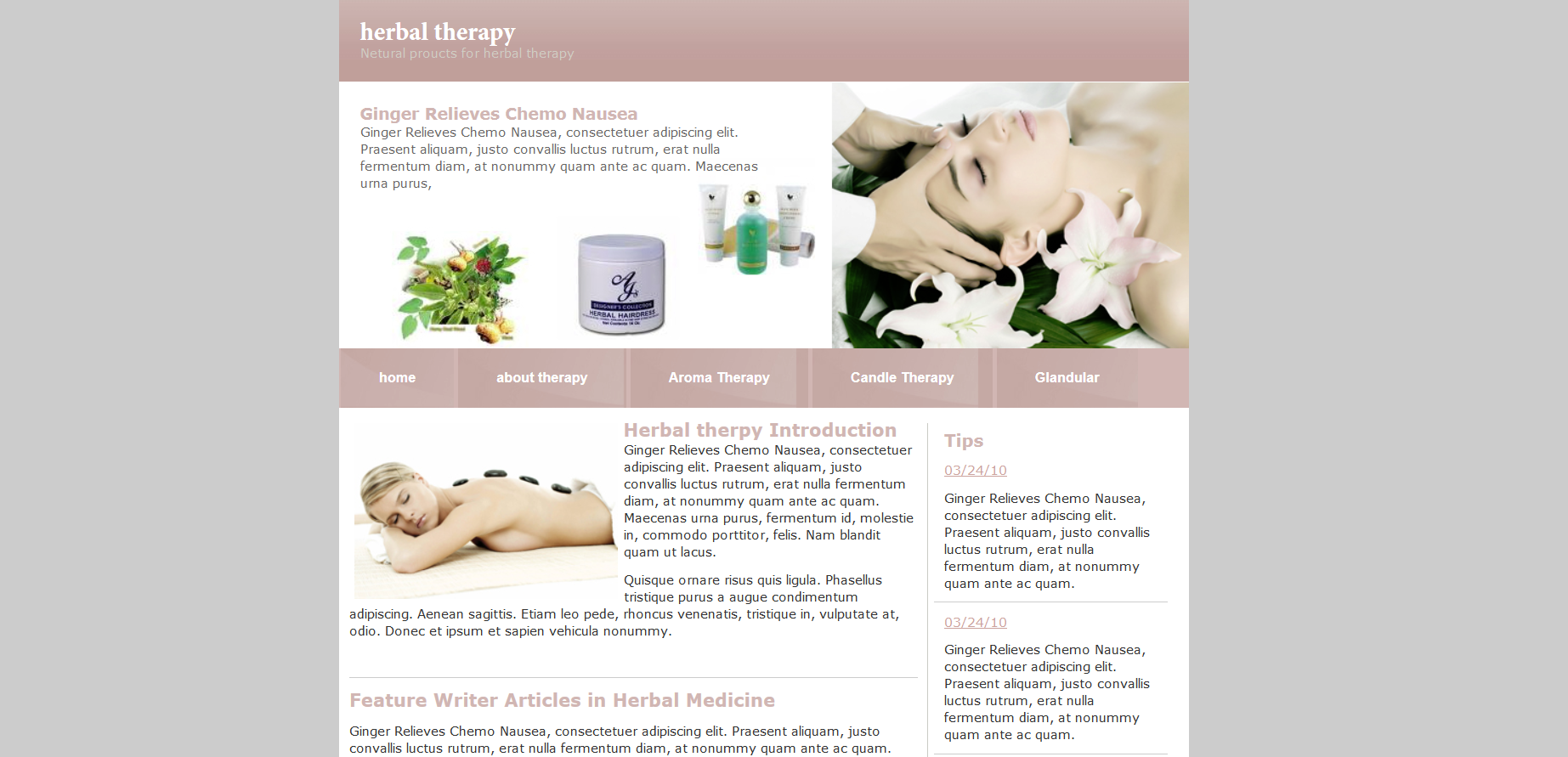 Шаблон сайта Красота №237