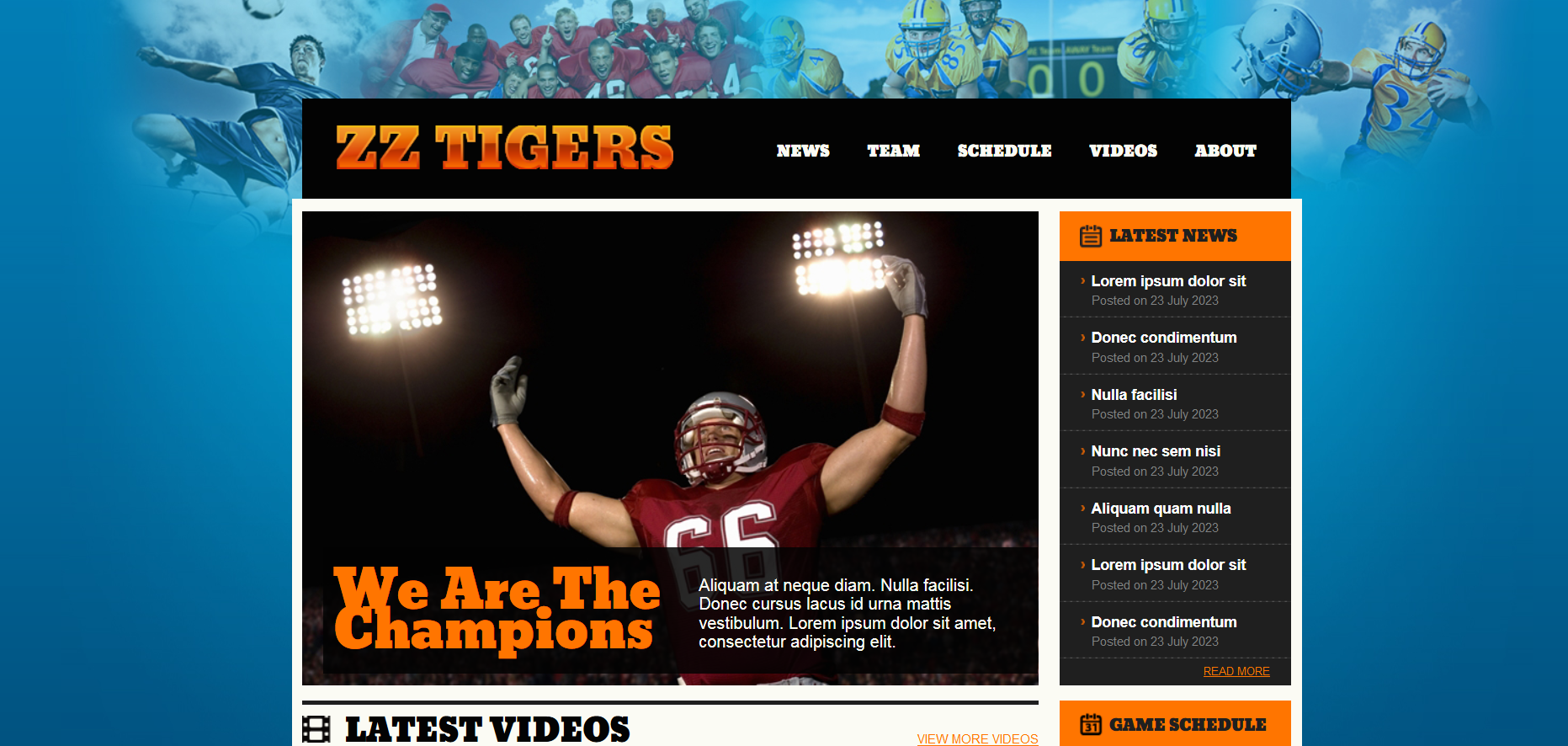 Шаблон сайта Веб №675